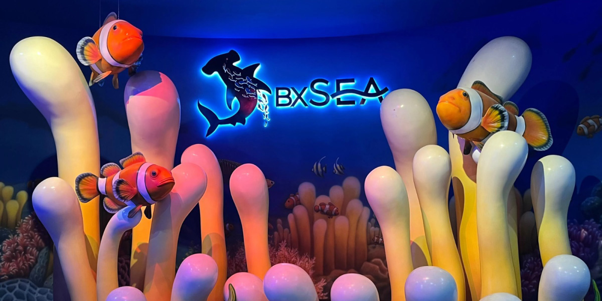 BXsea